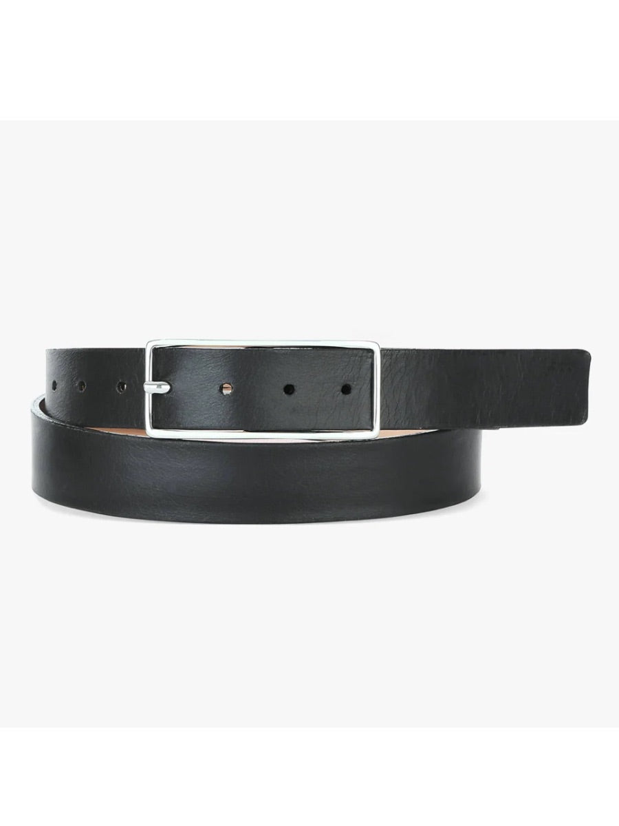 Ursian Belt