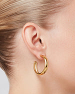 Staple Hoops- Basic Small Hoop earrings - Gold Tone Jenny Bird